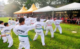 La Salle Primary Klang School Sport Demo, 16th June&nbsp;2011