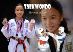 Taekwondo, My Way of Life