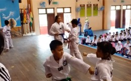 Taekwondo Promotion at SK Seksyen 9, Shah Alam&nbsp;2014