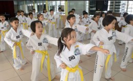 SK Taman Megah, PJ&nbsp;Juniors