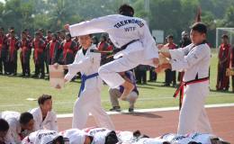 SMK Seksyen 9 Sport Demo&nbsp;2017